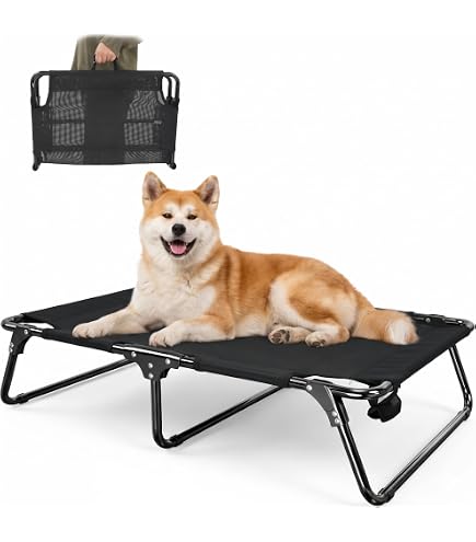 Amazon | コールマン(Coleman) 高架折りたたみ式ドッグコット Lサイズ